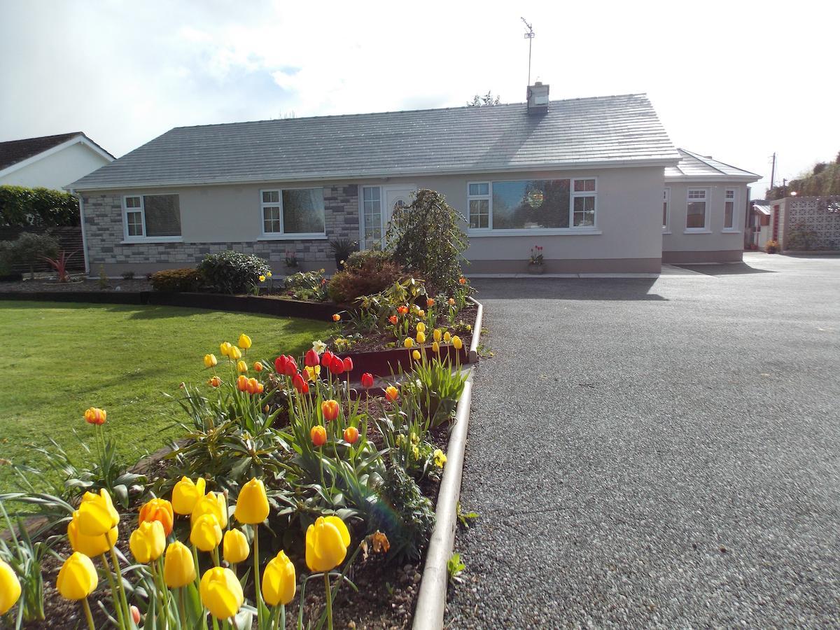 Barrow View Accommodation Mountmellick Exteriör bild