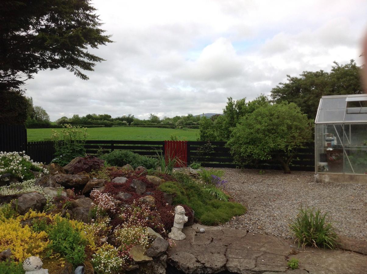 Barrow View Accommodation Mountmellick Exteriör bild
